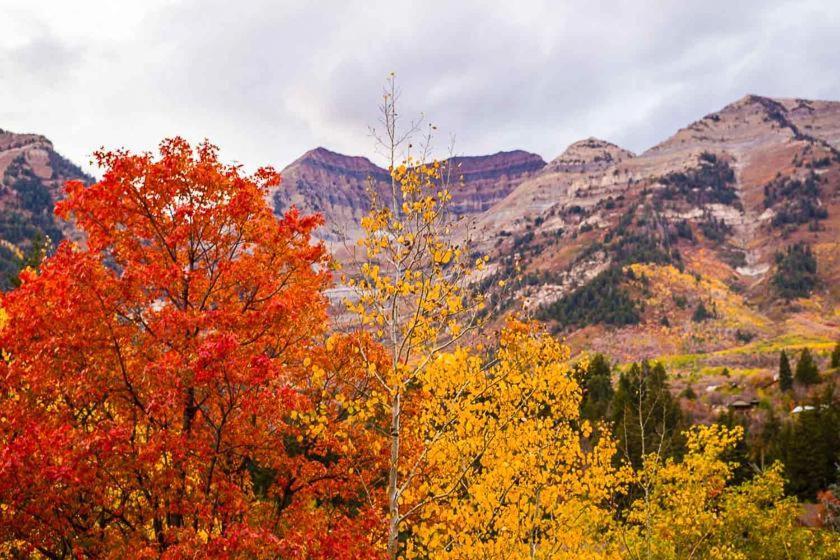 Cottage On The Stream Sundance, Utah Bagian luar foto